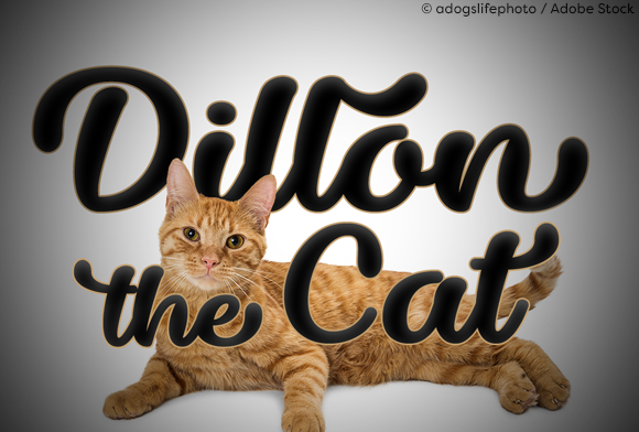 Dillon the Cat Font