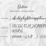 Distoria Script Font Poster 10