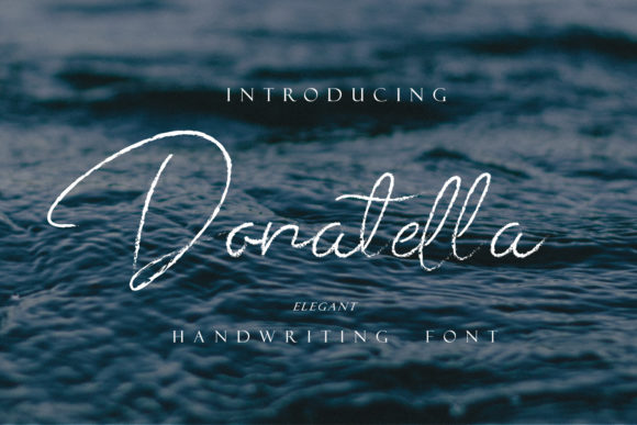 Donatella Font Poster 1