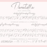 Donatella Font Poster 12