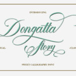 Dongatta Story Font Poster 1