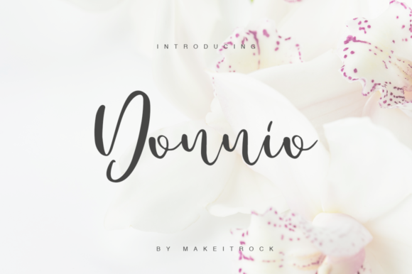 Donnio Font Poster 1