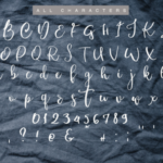Donnio Font Poster 3