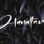 Dontha Tethaki Font Poster 3