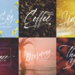 Dorrotthy Script Font Poster 10