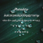 Downhill Font Poster 9