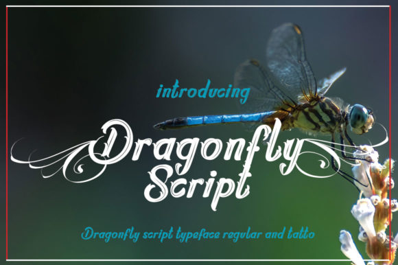 Dragonfly Script Font Poster 1
