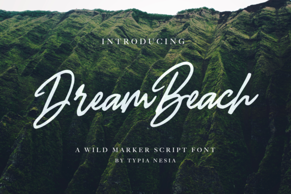 Dream Beach Font Poster 1