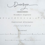 Drunkgun Script Font Poster 10