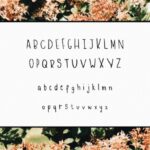 Ebony Font Poster 2