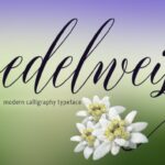 Edelweis Font Poster 1