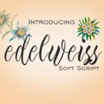 Edelweiss Font Poster 1