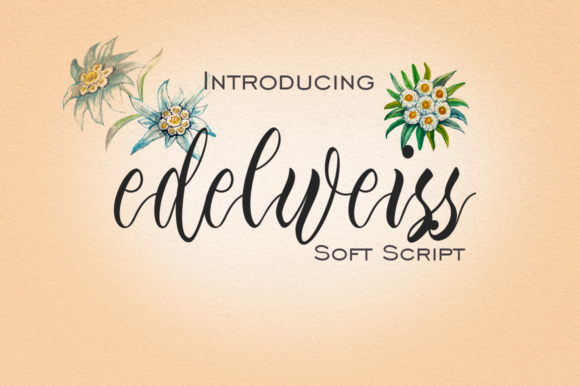 Edelweiss Font Poster 1