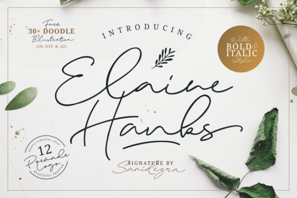 Elaine Hanks Font