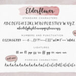Elderflower Font Poster 11