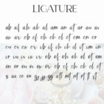 Elegant Fashion Duo Font Poster 11