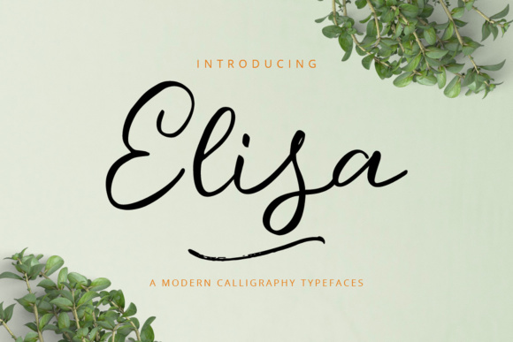 Elisa Font Poster 1