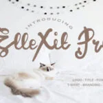 ElleXit Pro Font Poster 1