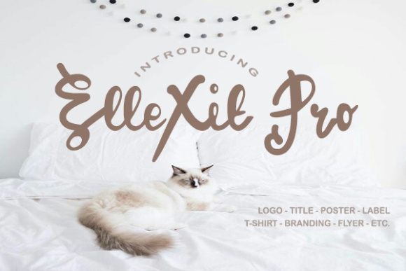 ElleXit Pro Font Poster 1