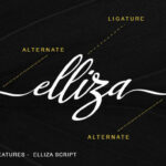 Elliza Script Font Poster 8