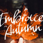 Embrace Autumn Font Poster 1