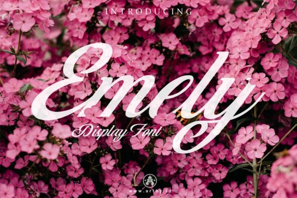 Emely Font Poster 1