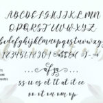 Emelyne Script Font Poster 8