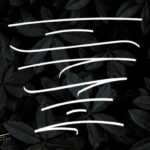 Emertha Script Font Poster 9