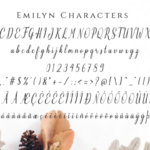 Emilyne Font Poster 14