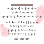 Emylia Script Font Poster 3
