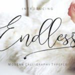 Endless Script Font Poster 1