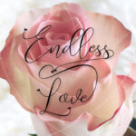 Endless Script Font Poster 2