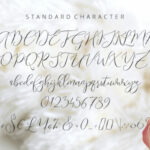 Endless Script Font Poster 4