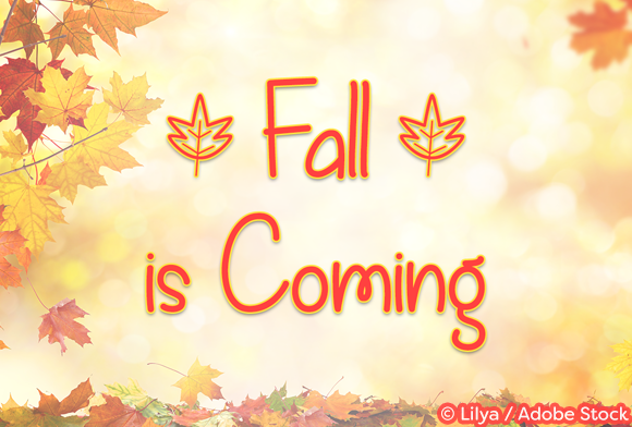 Fall is Coming Font Poster 1