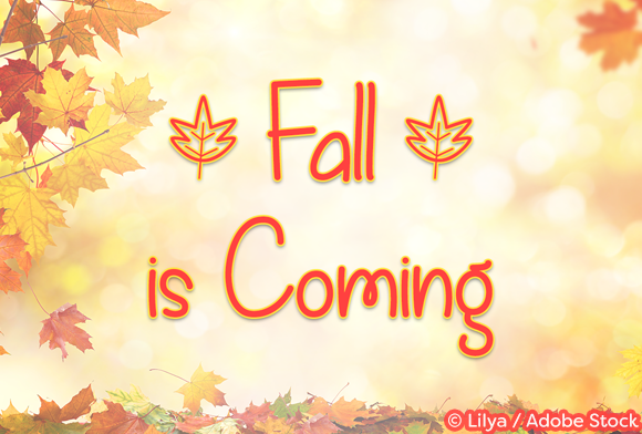 Fall is Coming Font