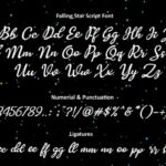 Falling Star Duo Font Poster 3