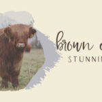Farmhouse Country Font Poster 6
