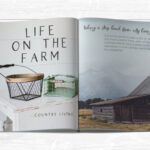 Farmhouse Country Font Poster 8