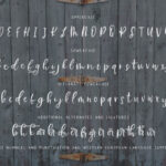 Farmhouse Country Font Poster 10