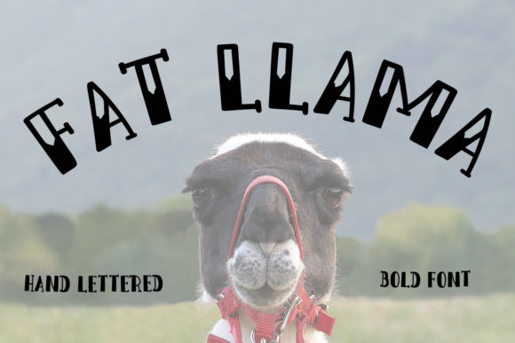 Fat Llama Font Poster 1