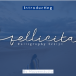 Fellicita Font Poster 8