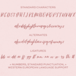 Fête Script Font Poster 9