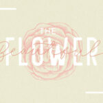 Filia Font Poster 2