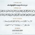 Fisha Script Font Poster 7