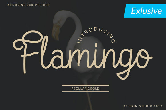 Flamingo Font Poster 1