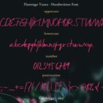 Flamingo Youra Font Poster 2