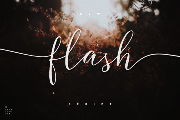 Flash Script Font Poster 1