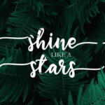 Flashlight Script Font Poster 4