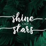 Flashlight Script Font Poster 4