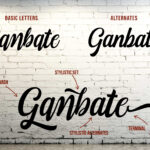 Fonjava Font Poster 3